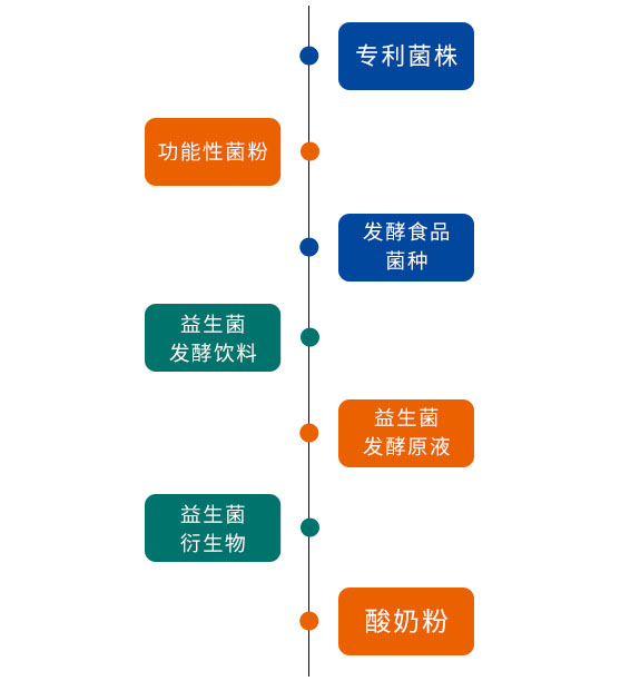 種類.jpg
